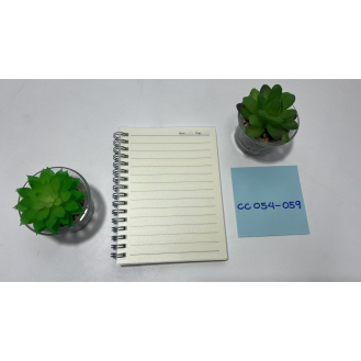 CC054-059 transparent spiral notebook