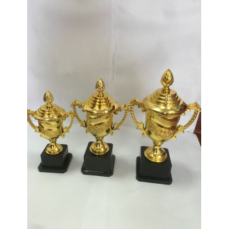 CC089-056 Trophy/22cm
