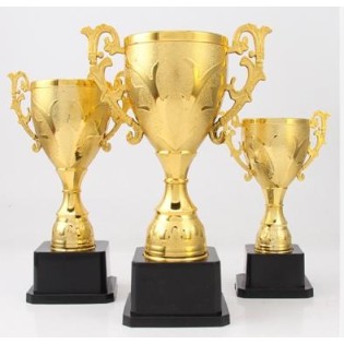 CC089-061 Trophy/24.5CM