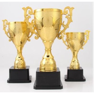 CC089-061 Trophy/24.5CM