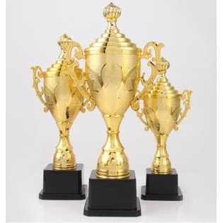 CC089-064 Trophy/30cm