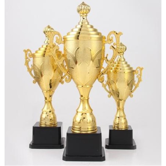CC089-064 Trophy/30cm