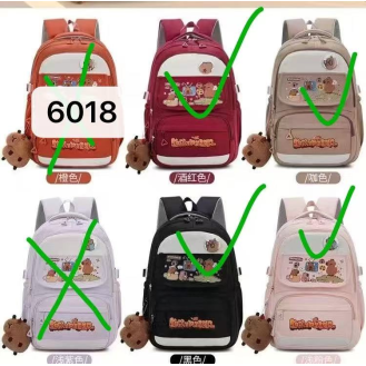 CC091-013 schoolbag6018