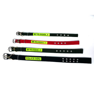 CC100-018dog collar2.5+2.5*50