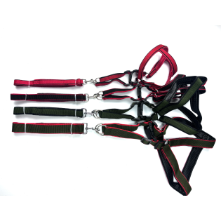 CC100-100dog cheststrap+3.0CM