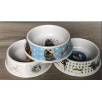 Dog pet bowl