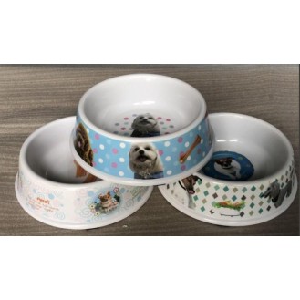CC117-072 dog pet bowl30700426cm