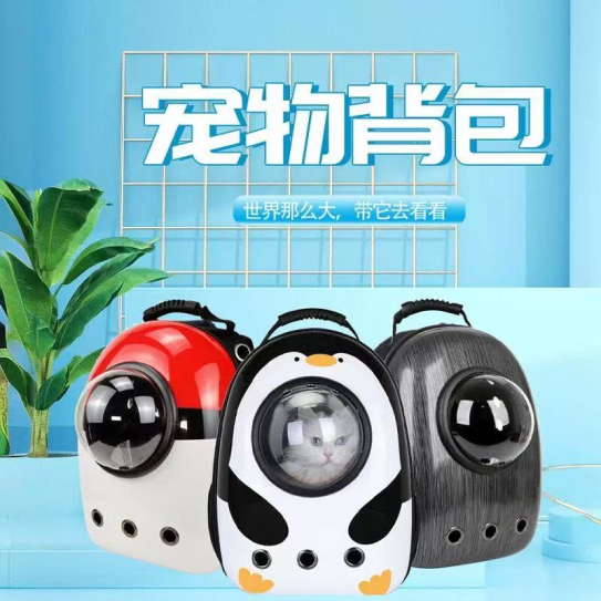 CC117-109 pet backpack16001