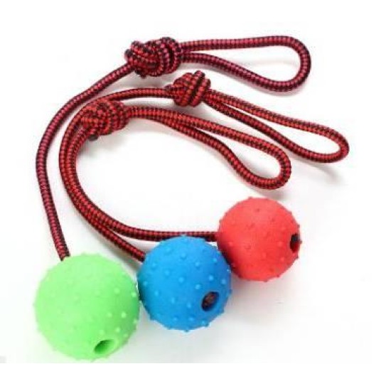 CC117-130 pet ball with rope341307.2CM