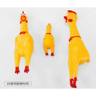CC117-359 screeching chicken63002