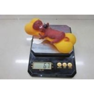 CC117-412 pet chew toys duck91116