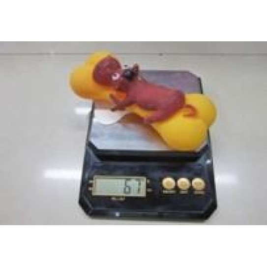 CC117-412 pet chew toys duck91116