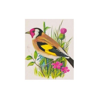 CC128-021 YCEE-paint by number 30*30