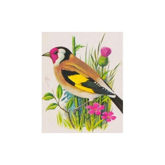 CC128-021 YCEE-paint by number 30*30