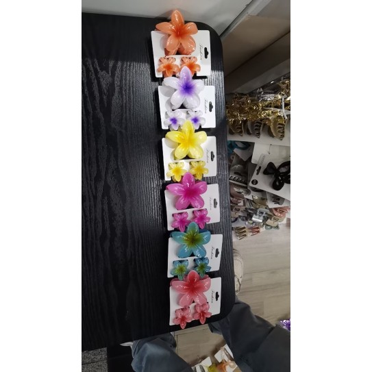 CC145-024 Hearwear clip 3pcs